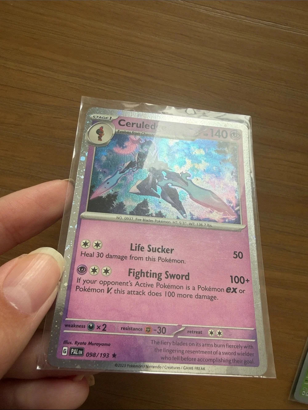 Pokemon pokémon paldea
